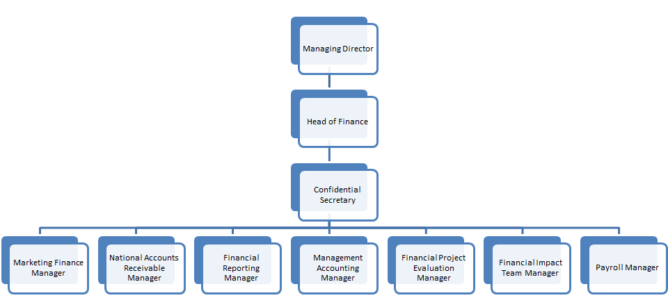 Roles and responsibilities of financial reporting manager